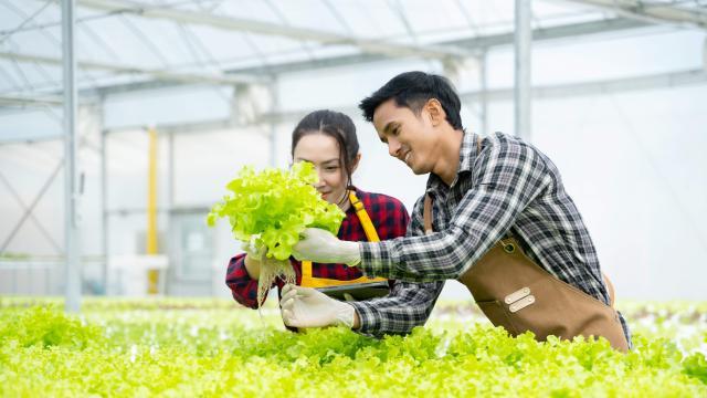 Soutien aux travailleurs occasionnels dans les secteurs de l’agriculture et de l’horticulture prolongé pour une durée indéterminée